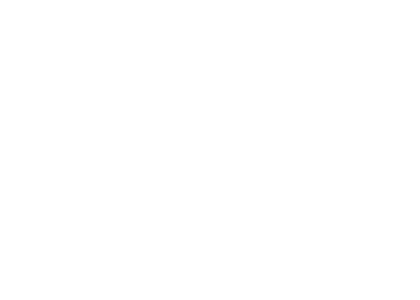 Asset VRS Logo White